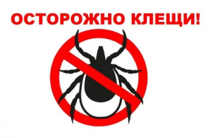 Осторожно! Клещи! Осторожно! Клещи!.